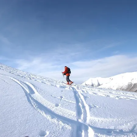 فندق Villino Quintiliani بيسكاسيرولي